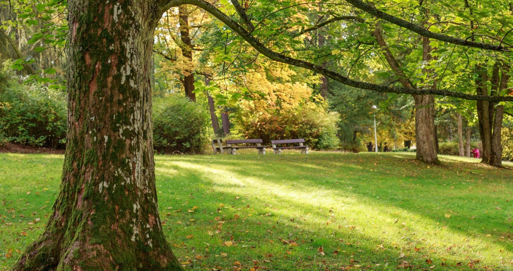 Lázeňský park