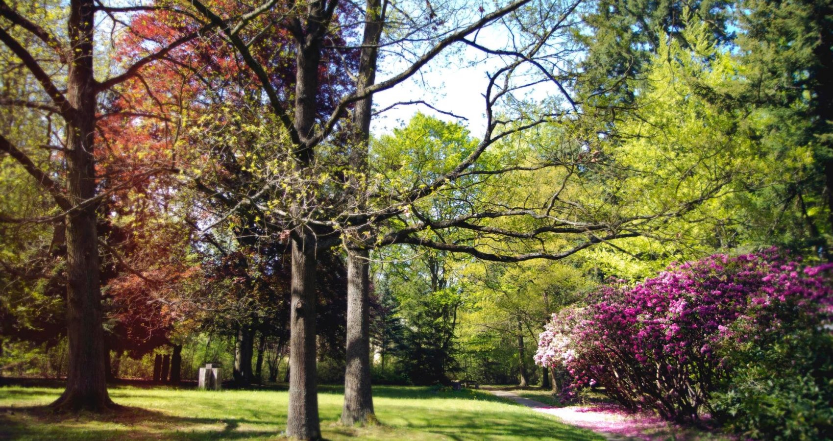 Lázeňský park