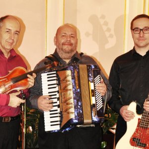 Trio Evergreens              