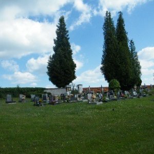 Do Čelivi